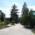 Pcc
